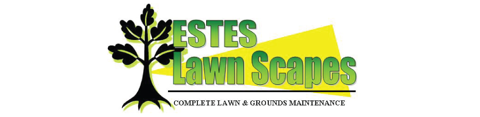 estes logo x